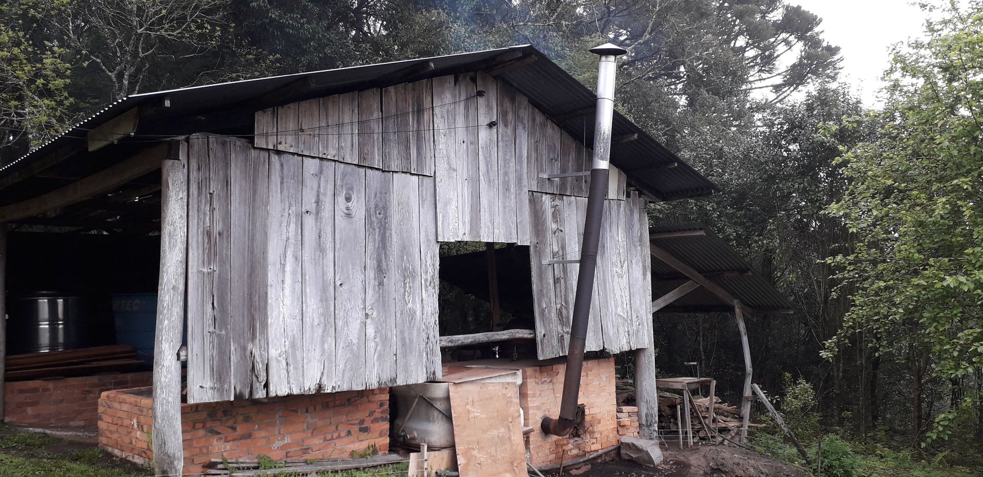 Vinhedos dos Caminhos de Pedra ao amanhecer